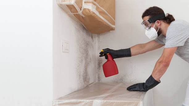 Professional Bathroom Mold Removal technician working in Hawthorne, NJ