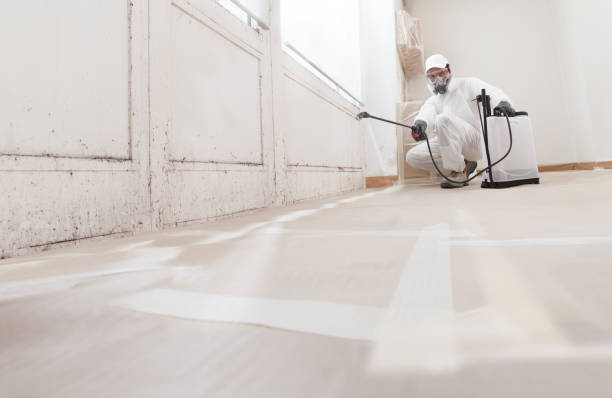 24/7 Emergency Bathroom Mold Removal experts in Hawthorne, NJ