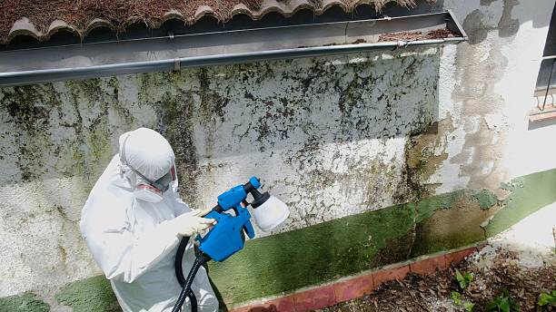 Top rated local Bathroom Mold Removal specialists in Hawthorne, NJ